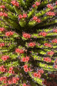 2020-05-19 17.11.00.jpeg