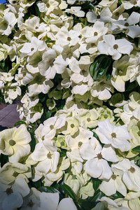 2020-05-19 17.23.51.jpeg