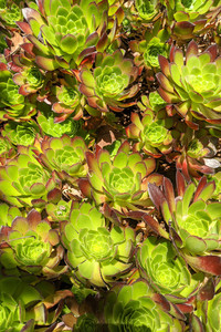 2020-05-26 18.10.22.jpeg