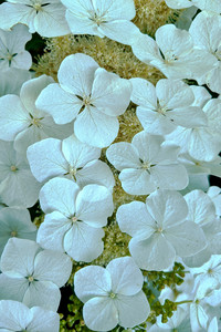 2020-05-26 18.14.34.jpeg