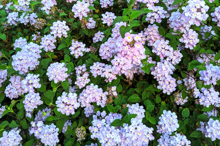 2020-05-26 18.29.38.jpeg