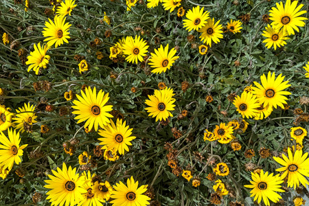 2020-05-31 16.08.21.jpeg