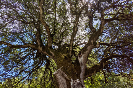 2020-06-07 14.23.17.jpeg