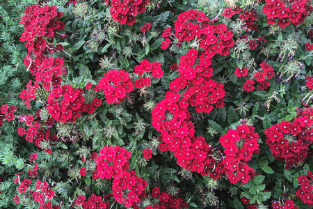 2020-10-10 18.08.40.jpeg