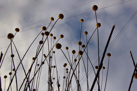 2020-11-10 15.16.26.jpeg