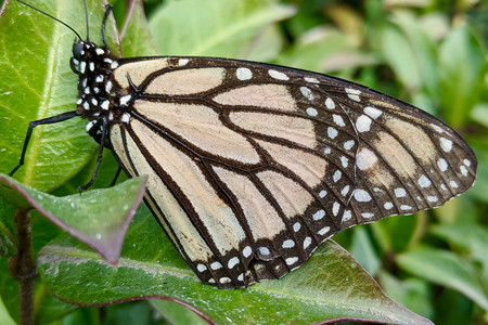 2020-11-17 10.01.05.jpeg