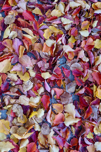 2020-11-25 13.44.36.jpeg