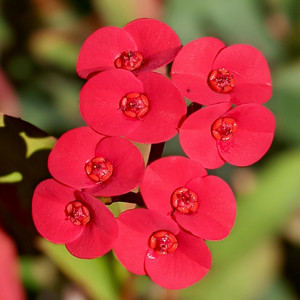 2021-02-28 09.29.28.jpeg