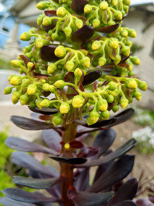 2021-03-14 14.59.33.jpeg