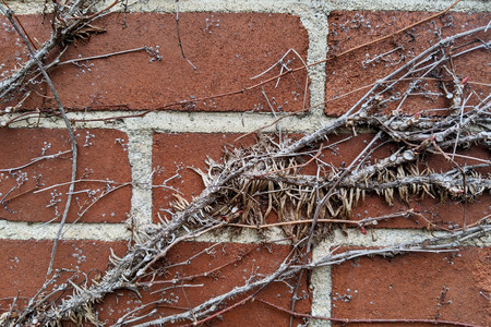 2021-03-14 15.35.20.jpeg