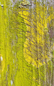 2021-03-14 15.39.24.jpeg