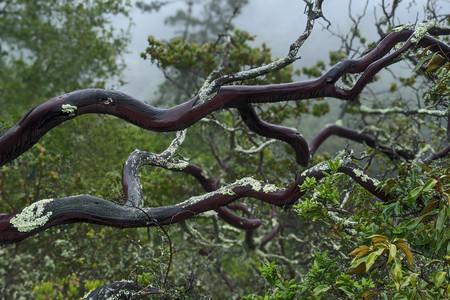 2021-04-25 15.07.52.jpeg