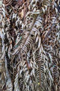 2021-04-25 15.23.48.jpeg