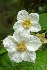 2021-04-25 15.42.35.jpeg