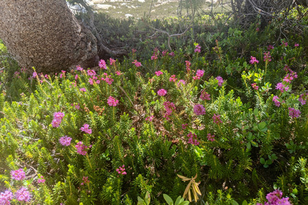 2021-06-16 12.08.57.jpeg