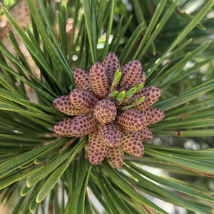 2021-06-17 16.56.06.jpeg