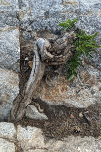 2021-06-17 19.19.25.jpeg