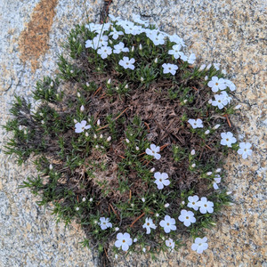 2021-06-17 20.45.03.jpeg