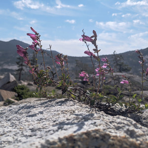 2021-06-18 08.54.06.jpeg