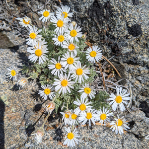 2021-06-18 15.17.28.jpeg