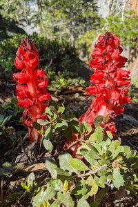 2021-06-19 09.07.19.jpeg