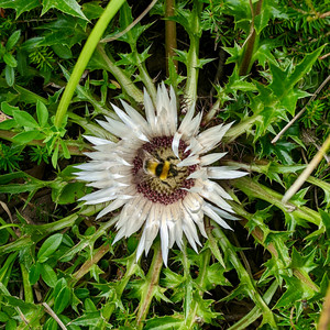 2021-08-17 15.12.18.jpeg